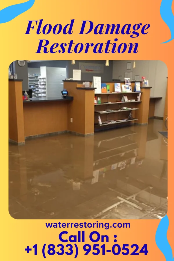 Flood Damage Restoration in Benwood, WV