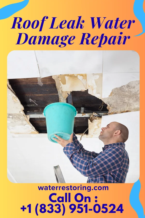 Roof Leak Water Damage Repair in Benwood, WV