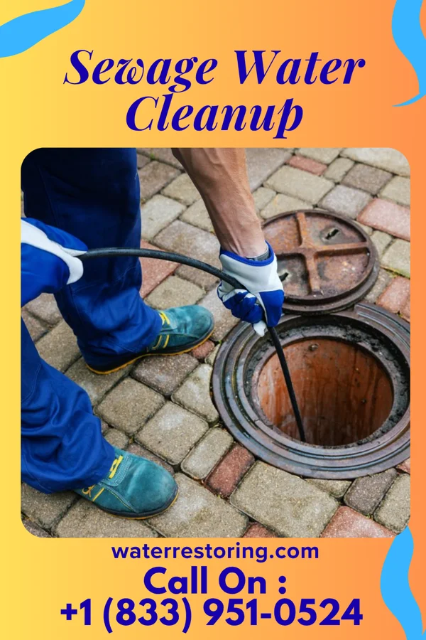 Sewage Water Cleanup in Benwood, WV