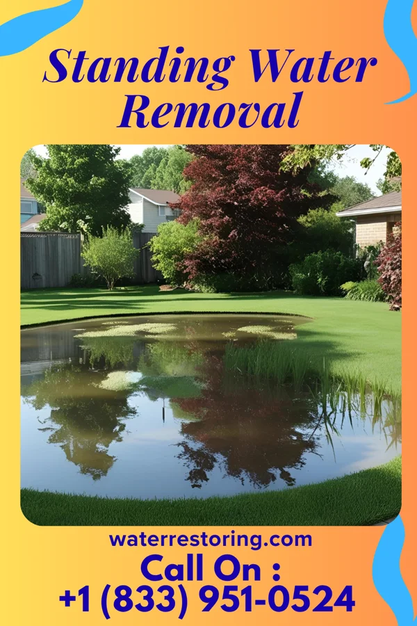 Standing Water Removal in Benwood, WV